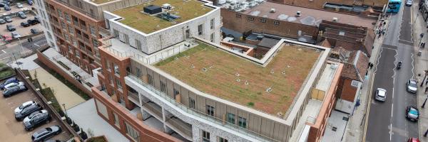 Aerial view of the Purelake residential development in Sevenoaks showing the completed green roofs across the whole block
