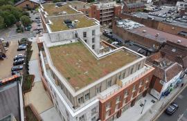 Plan view from above of the sedum green roof on the main block at Purelake Sevenoaks