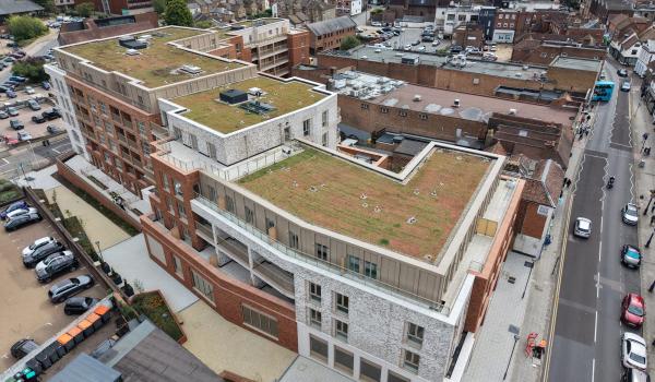 Aerial view of the Purelake residential development in Sevenoaks showing the completed green roofs across the whole block
